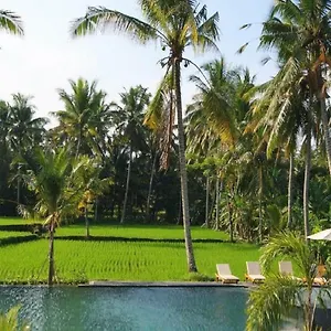 Resort Bhanuswari