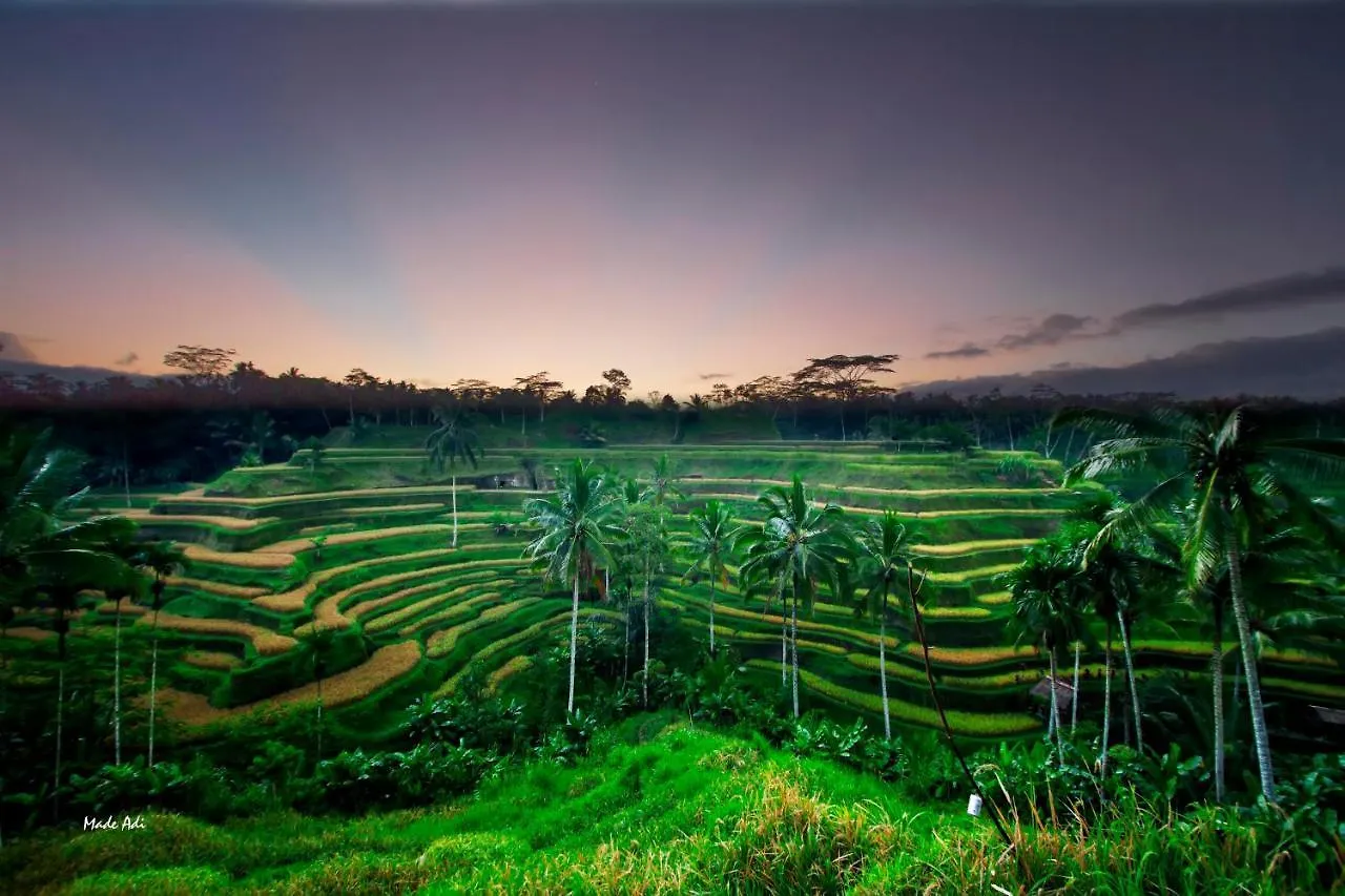 Puri Padma Hotel Ubud 3*,  Indonézia