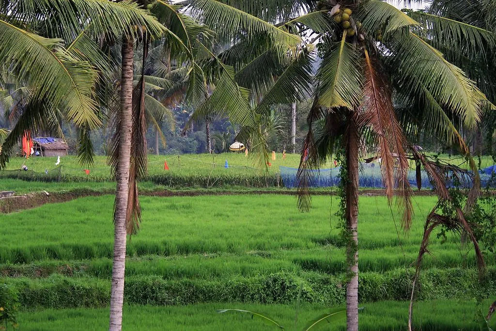 Puri Padma Hotel Ubud