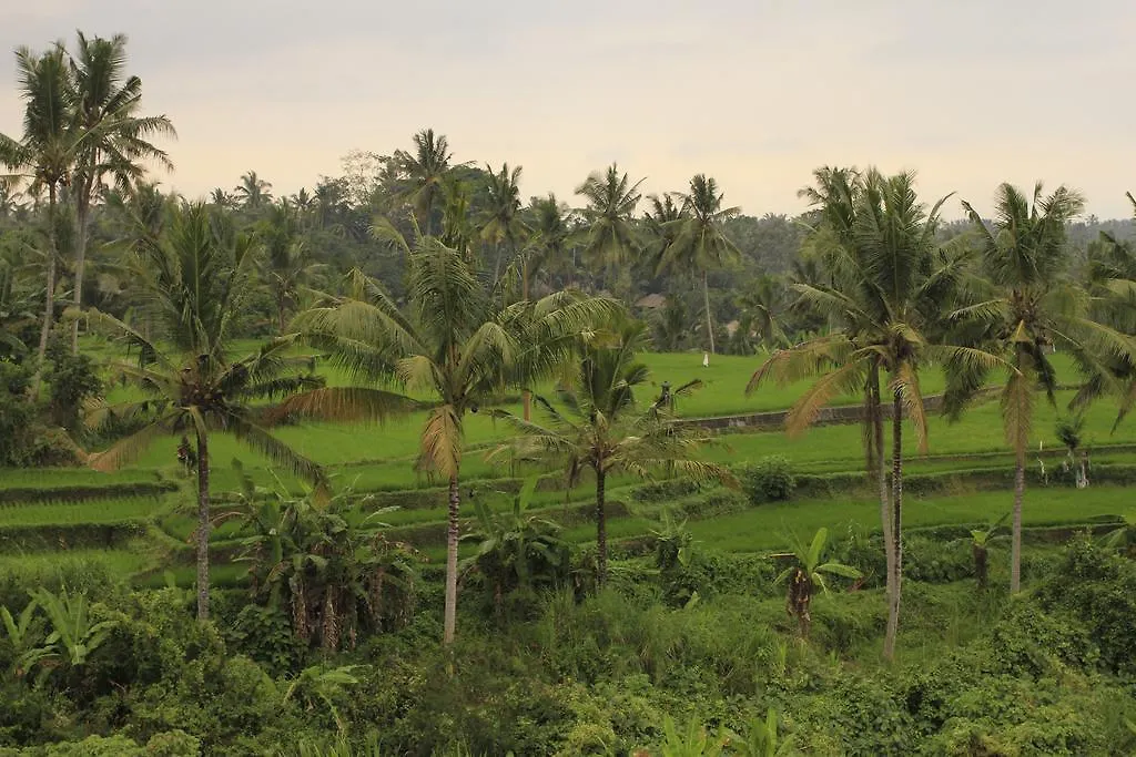 Puri Padma Hotel Ubud